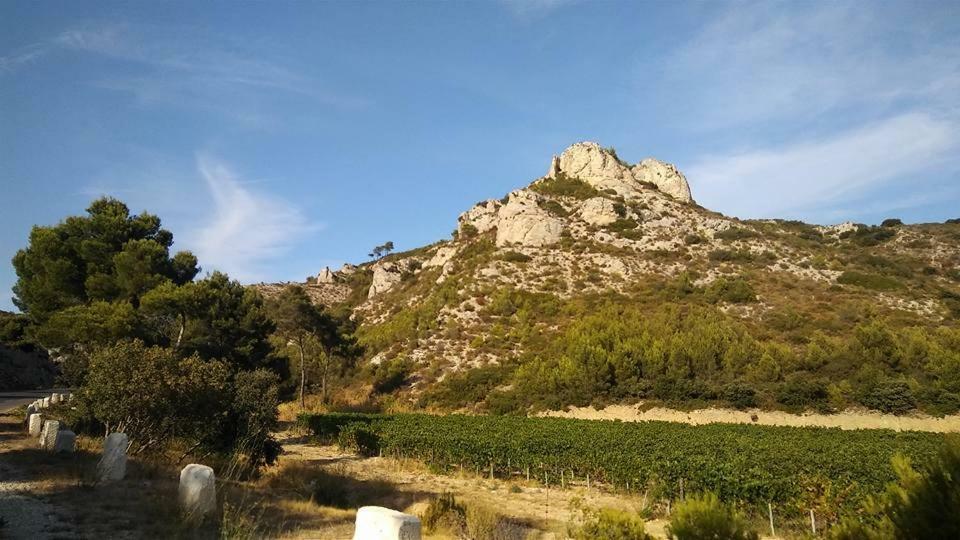 Le Lapin Blanc Apartment Saint-Remy-de-Provence Luaran gambar
