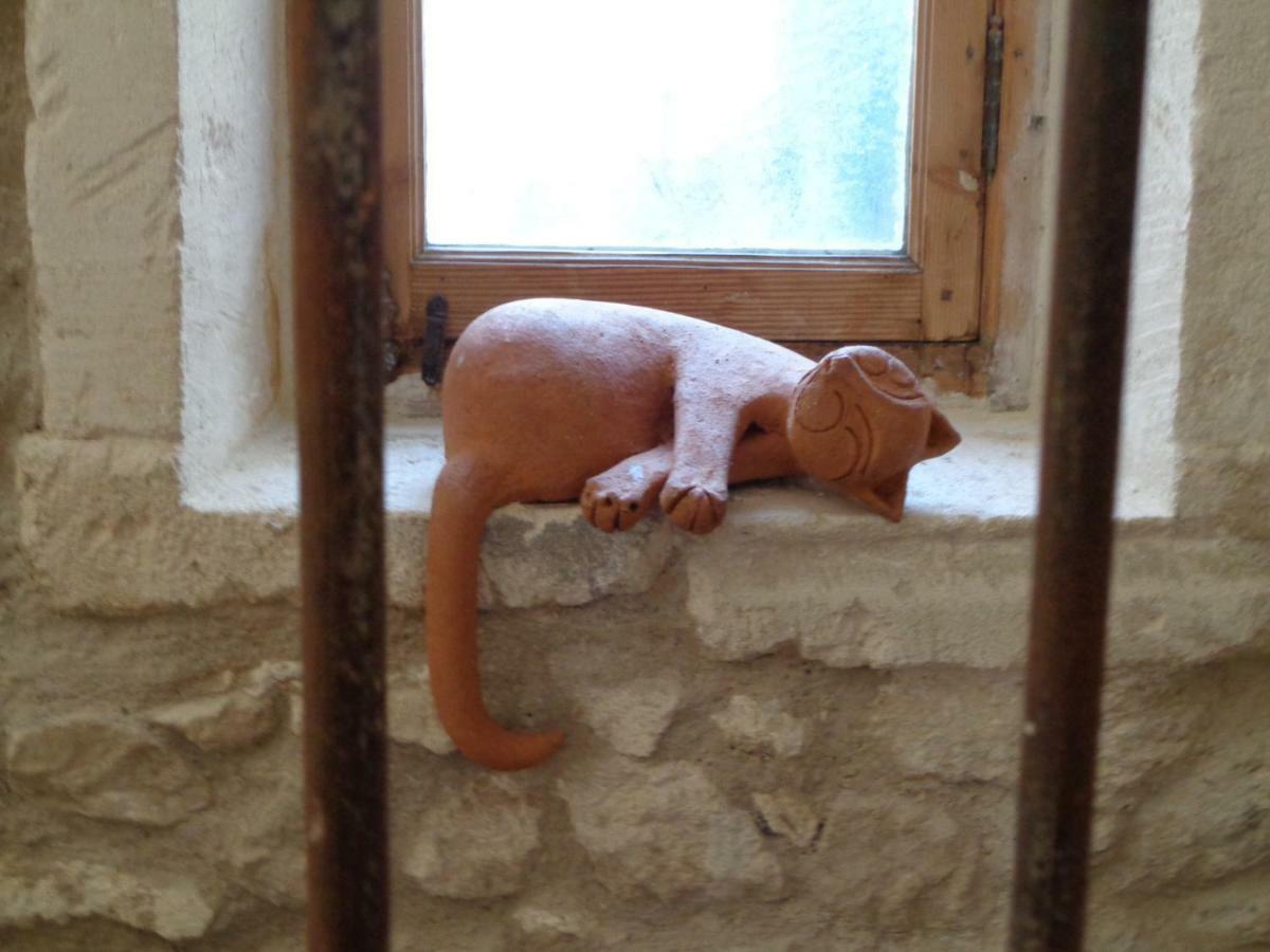 Le Lapin Blanc Apartment Saint-Remy-de-Provence Luaran gambar